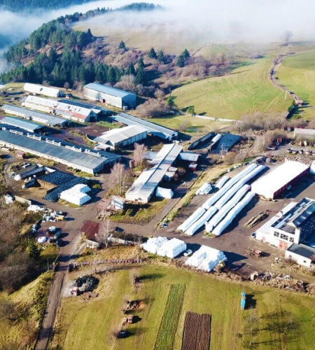Poľnohospodárske družstvo Bukovina Strelníky
